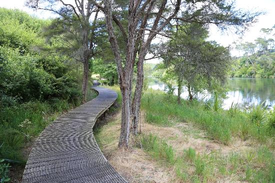 waikato-river-trails.jpg