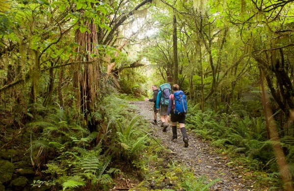 walking-milford-track-graham-dainty-1200.jpg